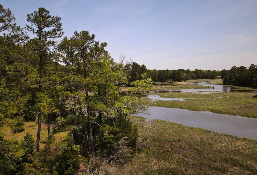 Adams Creek – WaterAdaptationEconomy.org