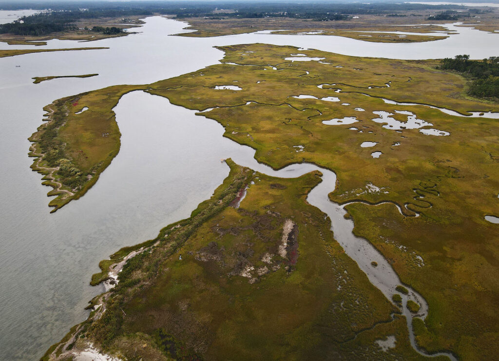 Guinea Marsh Islands – WaterAdaptationEconomy.org