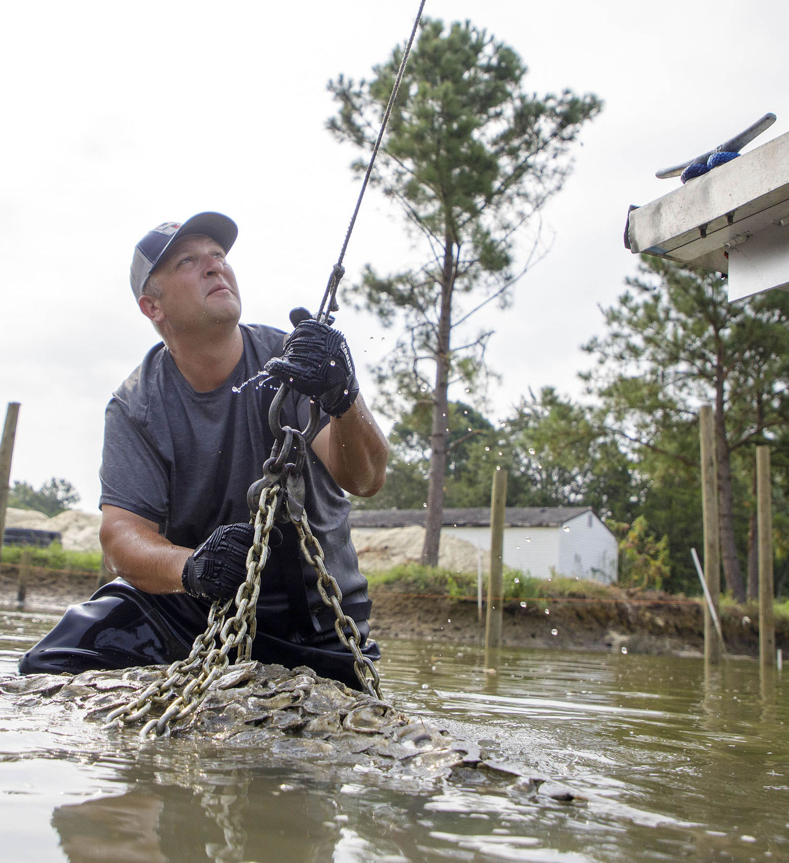 Workers from Biogenics Solutions, Ready Reef, and Golden Oyster install oyster castles in a channel of Whittaker Creek in Gloucester, Virginia on Aug 15, 2023.